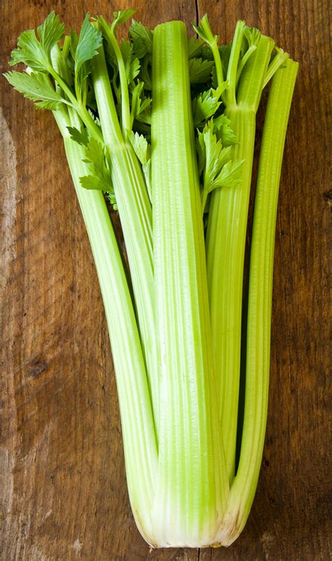 In this video, i show you how you can take a bunched stalk of celery from the grocery store (or your garden). Celery: about, nutrition data, photos, where found and ...