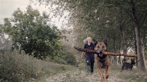 Zoek De Vrouw De Hond En De Dood Trailer Fbts 2022 Youtube