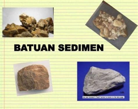 Pengertian Jenis Jenis Batuan Sedimen Beserta Contohnya Lengkap