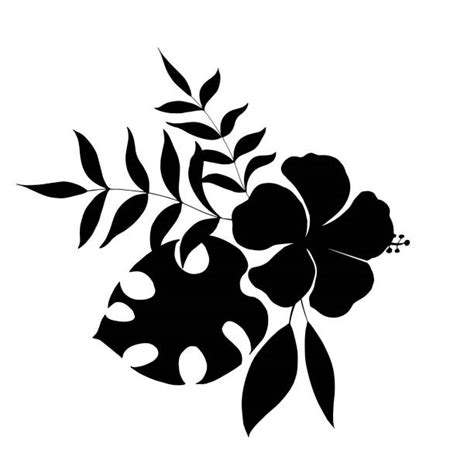 6100 Tropical Flower Silhouette Stock Photos Pictures And Royalty Free