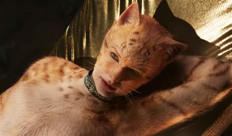 Similar to ᐈᐉ cats 2019! 'Cats' Trailer Reactions: Critics Horrified by First ...