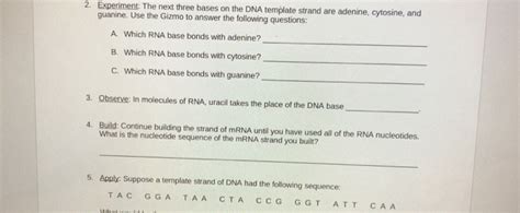 Student exploration cell structure activity a animal cells get the gizmo ready. Building Dna Gizmo Answer Key / Student Exploration Building Dna Fill Online Printable Fillable ...