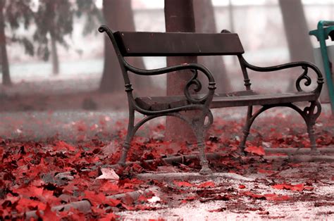 Bench Fall Leaves Wallpaper Coolwallpapersme