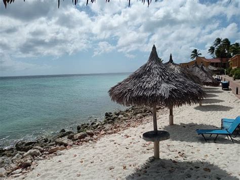 Tamarijn Aruba All Inclusive Oranjestad All Inclusive Resort