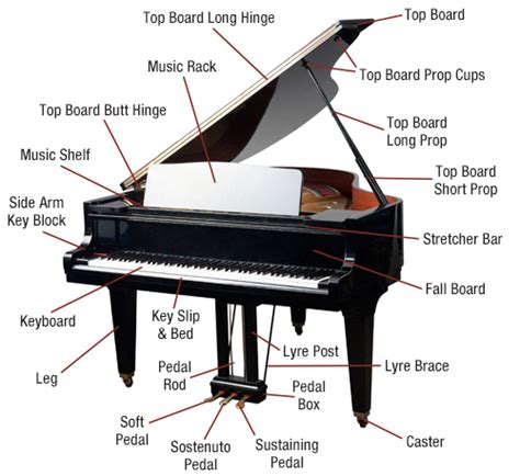 PIANO - The Music Partnership