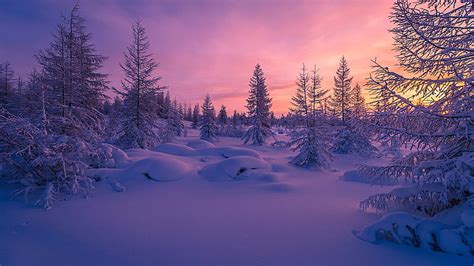 Hd Wallpaper Winter Snow Blue Sky Nature Freezing Sunset