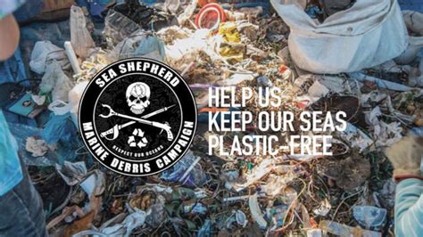 Adelaide Beach Clean Glenelg Sea Shepherd Marine Debris Campaign