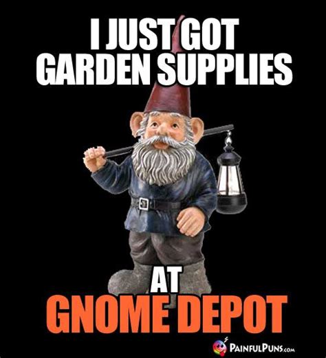 Pin On Gnomes Funny Gnome Humor