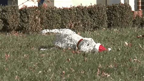 Reston S Real Life Grinch Steals Christmas Decorations From Multiple Homes Wjla