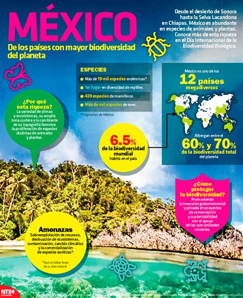 Hoy Tamaulipas Infografía México De Los Países Con Mayor