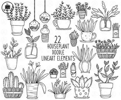 House Plants Lineart Elements 22 Png Clip Art Designs Etsy Plant