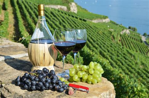 5 Must Visit Wineries In Tuscany