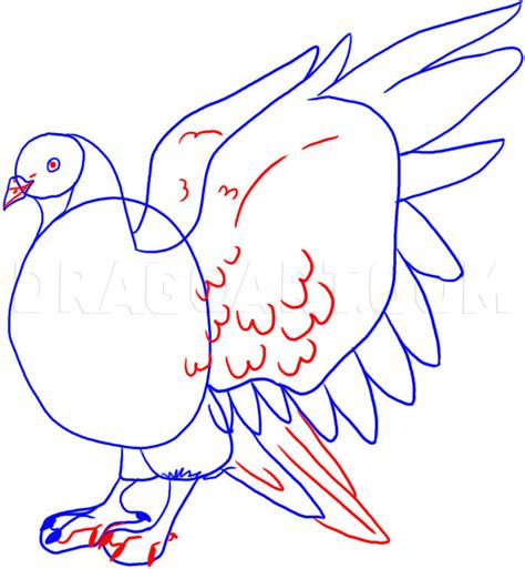 Albums 101 Images How To Draw Pigeon Step By Step Completed