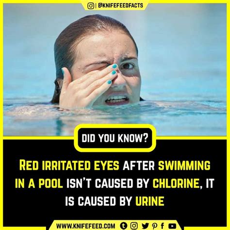 Red Irritated Eyes After Swimming In A Pool Isnt Caused By Chlorine It Is Caused By Urine