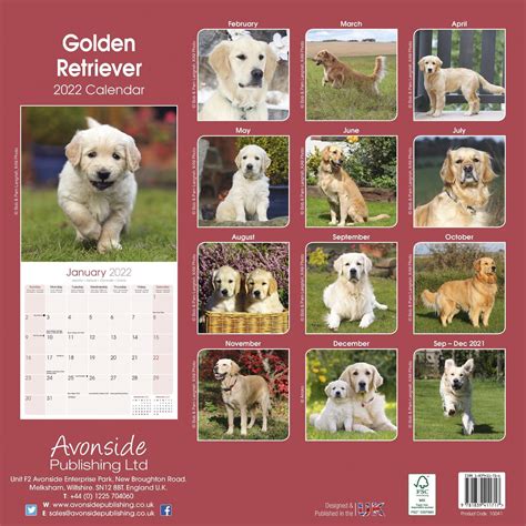 Golden Retriever Calendar Dog Breed Calendars Pet Prints Inc