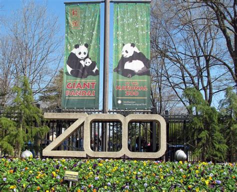 Smithsonian National Zoological Park Exploring Wildlife Wonders In