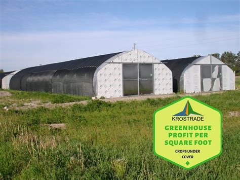 Greenhouse Profit Per Square Foot Greenhouse Greenhouse Farming