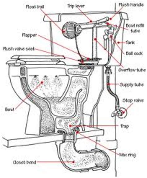 Four way switch to single pole switch help. How does a Toilet Work - Toilet Basics 101 | HubPages
