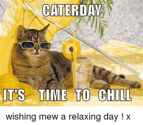caterdaw its time to chill wishing mew a relaxing day x chill meme on me me