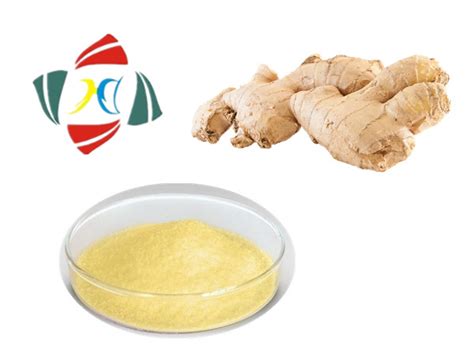 natural ginger extract gingerols 5 for food additive china ginger extract and black ginger