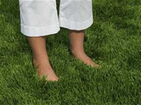 Maybe you would like to learn more about one of these? Zoysia Farm Nurseries: Why Zoysia?