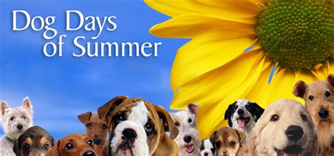 Dog Days Of Summer Quotes Quotesgram