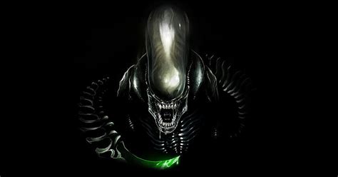 Online Crop Hd Wallpaper Alien Xenomorph Wallpaper Flare