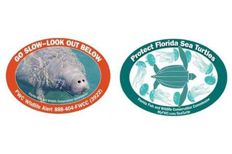 Fwcs New Manatee And Sea Turtle Decals Now Available Wndb News