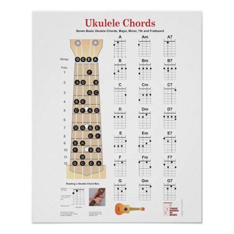 Ukulele Chords Finger Charts Fretboard With Notes Poster Zazzle
