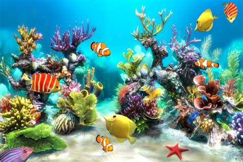 Sim Aquarium 3d Freeonappstore Tank Wallpaper Aquarium Live