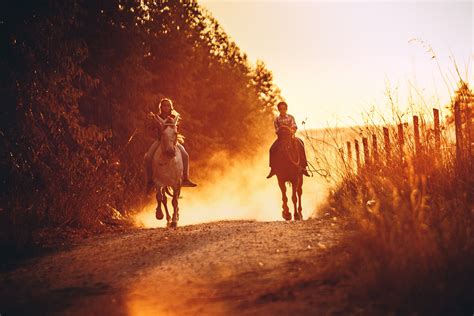 People Riding Horses During Sunset · Free Stock Photo