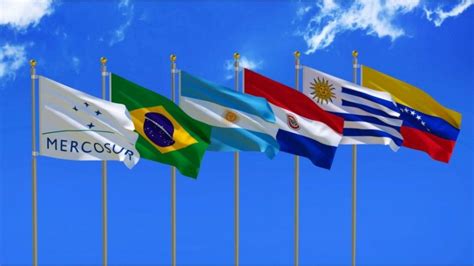 Mercosur (in portuguese, mercosul) resulted from the 1991 treaty of asunci6n, and began taking effect mercosur eliminates the majority of tariffs among the four member states as well as the two. Por primera vez, una mujer presidirá la Federación de ...