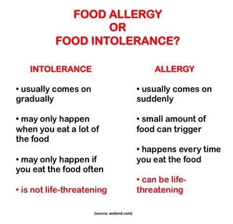 Food allergies affect roughly five to eight percent of all children. Food Allergy Versus Food Intolerance :: YummyMummyClub.ca