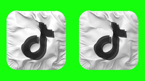 Tiktok Flag Icon In Squire Shape Isolated With Plain And Bump Texture