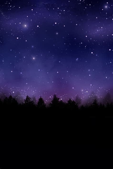Night Sky Pines Free Stock Photo Public Domain Pictures