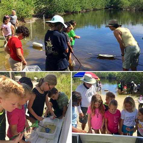 Treasure Coast Elementary has a great Summer Field Trip at the ELC