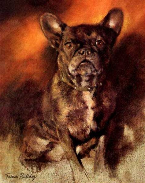 French Bulldog Vintage Dog Prints Dog Pictures Dog Paintings Ts