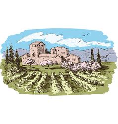 Vineyard Vector Images (over 21,000)