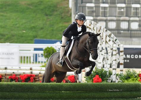 Journey To Pony Finals Shows How Hard Work Pays Off Us Equestrian