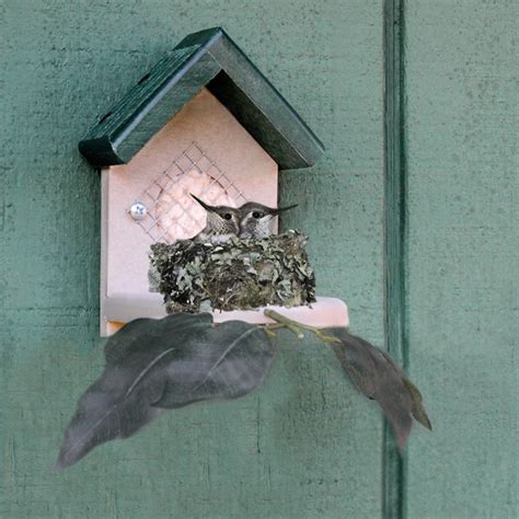 Organic, natural, and raw sugars contain levels of. Duncraft.com: Duncraft Hummingbird House Nester