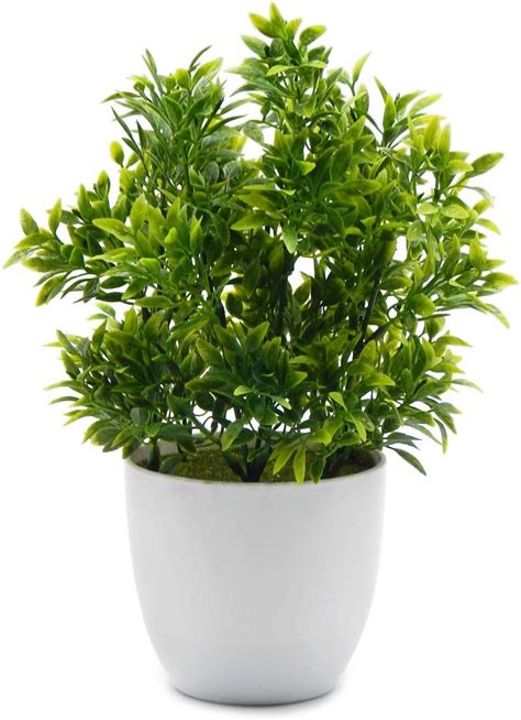 Maybe you would like to learn more about one of these? Amazon.com: OFFIDIX Artificial Plastic Mini Plants in ...