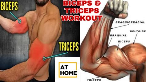 Best Biceps Triceps Exercise The Perfect Tricep Bicep Workout Body Fitness Youtube