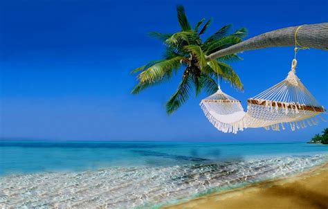 Обои песок море пляж небо вода пейзаж природа пальмы океан отдых гамак beach sky