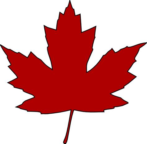 Maple Leafpng Clipart Best