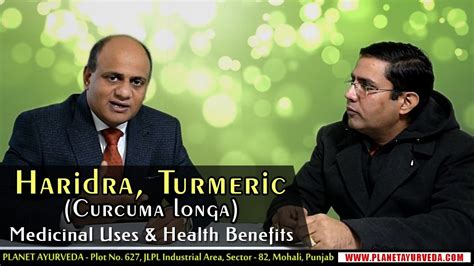 Haridra Turmeric Curcuma Longa Medicinal Uses Health Benefits