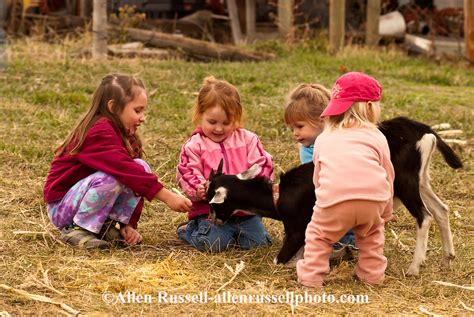 Kids Play With Goat At Farm Allen Russell Photography