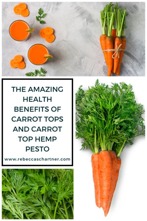 The Health Benefits Of Carrot Tops And How To Eat Them In 2020 Carrot