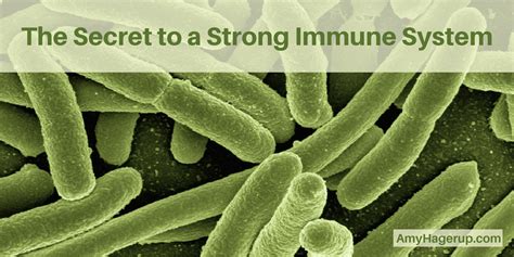 Words of Encouragement Can Lift a Person Up - The Vitamin Shepherd