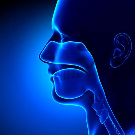 Oral Head And Neck Cancers 2019 Quiz On Medicine