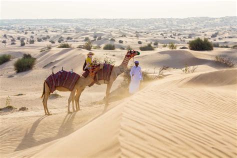 We have planned the camel ride in dubai desert to arabic costumes are available to wear and take pictures. Pin on Bucket List